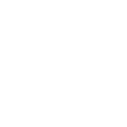 (c) Surfinn.at